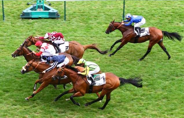 150618 Quai aux Fleurs Longchamp, course D