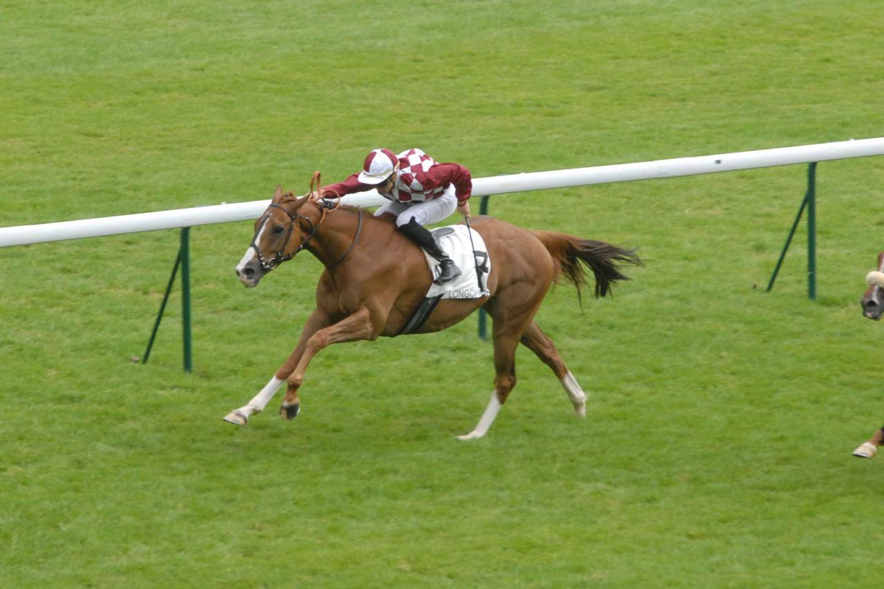 150618 Quai aux Fleurs Longchamp, course D