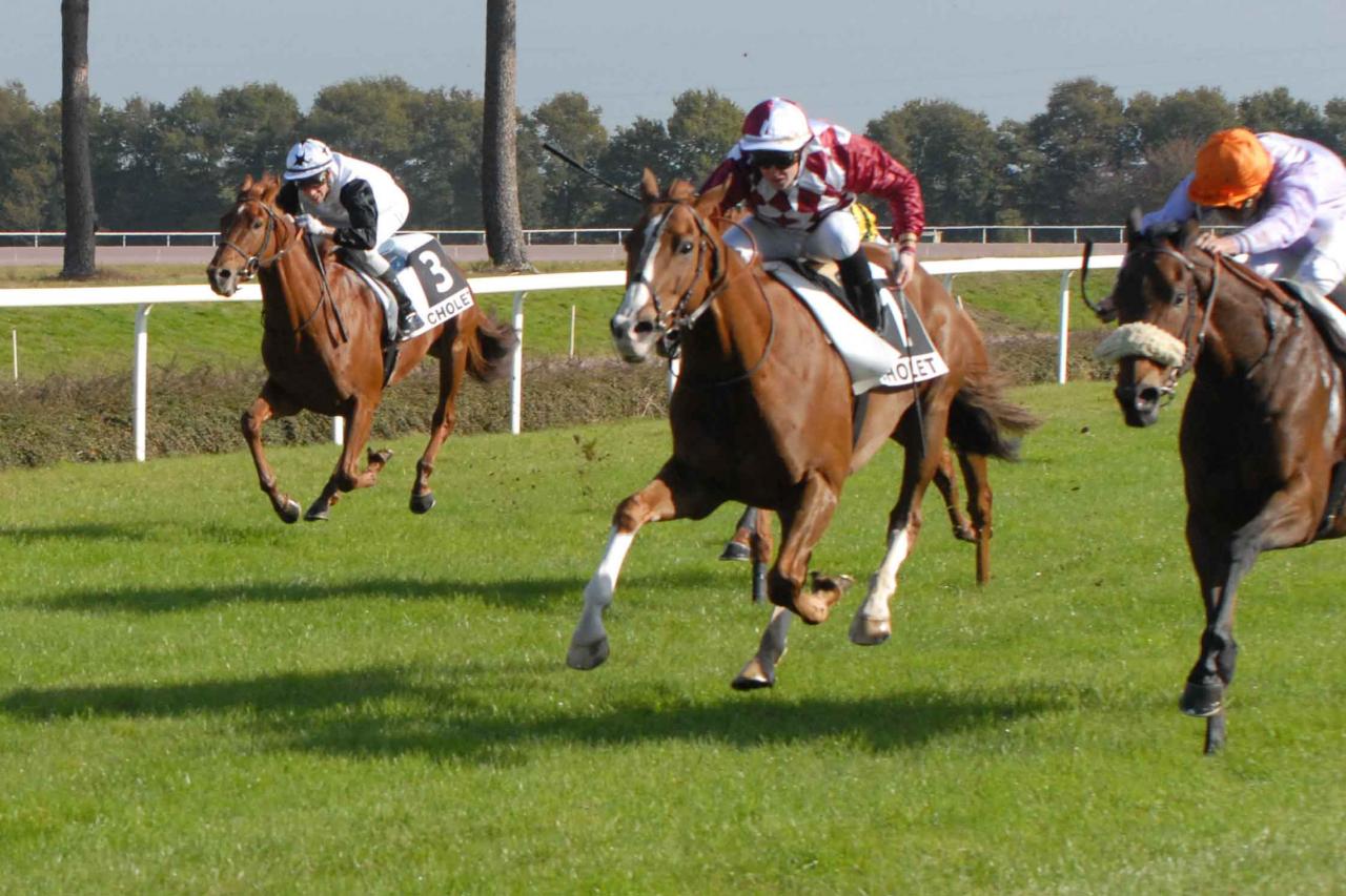 18 octobre 12015 Grand Prix de Cholet, course B