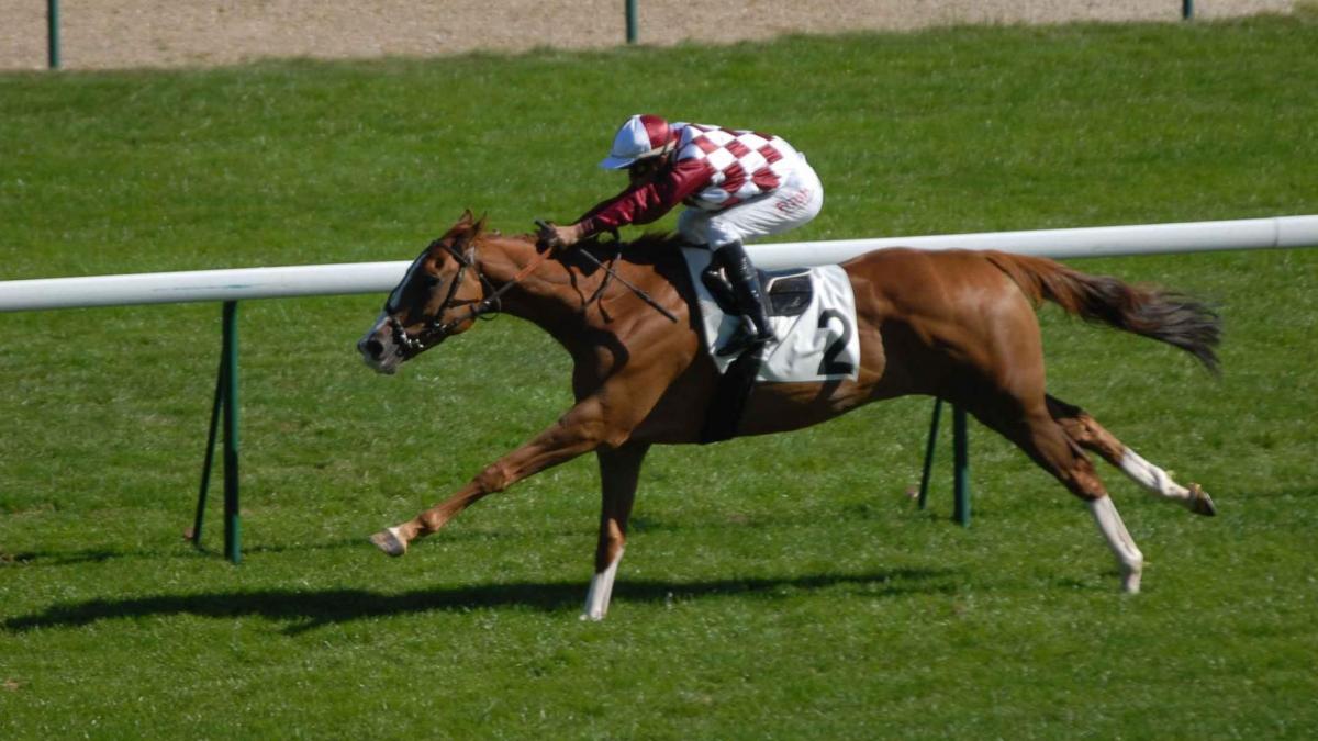 09 sept 2012 Prix du Pin GIII - Photo N. PITON