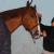 140208 BLUE SOAVE et Margot