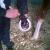 140208 soin 1 Goudron