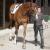 140331 moulins 01