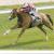 140331 moulins 10
