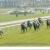 140331 moulins 11