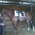 140331 prix fleuron argent
