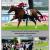 140729 prix de la croix de l oignon a chantilly 7