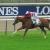 141729 prix de la croix de l oignon a chantilly 2