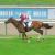 141729 prix de la croix de l oignon a chantilly 3