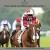 141729 prix de la croix de l oignon a chantilly 6