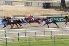 150709 ct prix carrieres 05