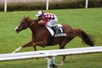 161023 grand prix de cholet blue soave 109 copie