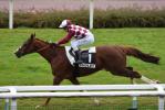 161023 grand prix de cholet blue soave 116 copie