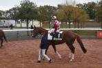 161023 grand prix de cholet blue soave 44 copie