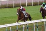 161023 grand prix de cholet blue soave 95 copie