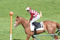 170330 cor de chasse l 1