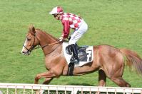 170330 cor de chasse l 3