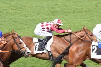 170330 cor de chasse l 7