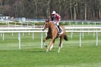 170330 cor de chasse l 8