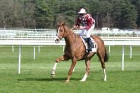 170330 cor de chasse l 9