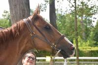 170522 chantilly aly khan 7