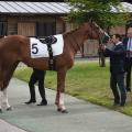 170903 chantilly prix du pin giii 2